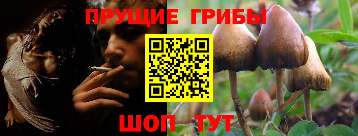 Псилоцибиновые грибы ЛСД  Псилоцибиновые грибы Psilocybine cubensis  Арсеньев  Вход с VPN 